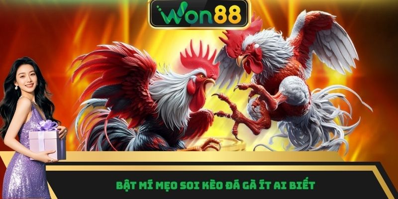 Bật mí mẹo soi kèo đá gà ít ai biết