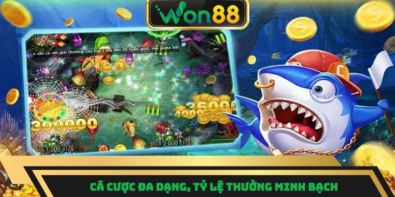 Cá cược đa dạng, tỷ lệ thưởng minh bạch