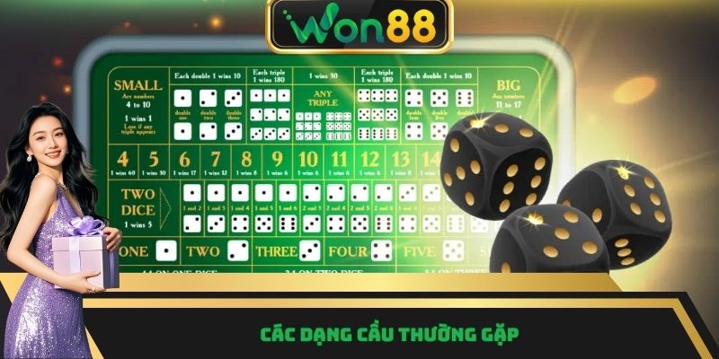 Các dạng cầu thường gặp