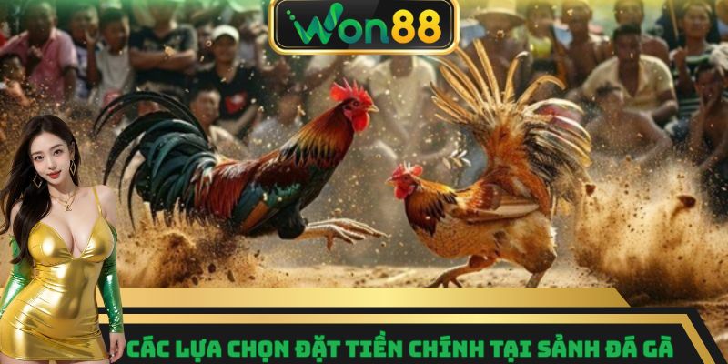 Đá Gà Won88 – Nơi Quy Tụ Những Trận Đấu Gay Cấn Nhất 9 Các lựa chọn đặt tiền chính tại sảnh đá gà