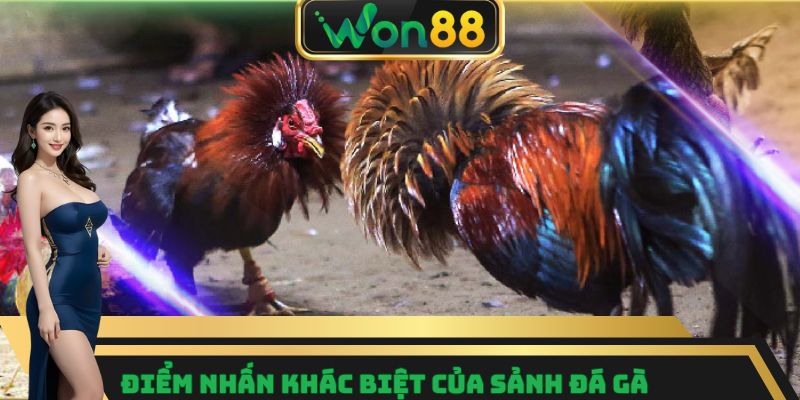 Đá Gà Won88 – Nơi Quy Tụ Những Trận Đấu Gay Cấn Nhất 6 Điểm nhấn khác biệt của sảnh đá gà