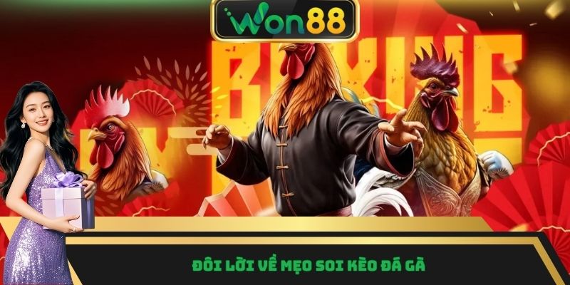 Đôi lời về mẹo soi kèo đá gà