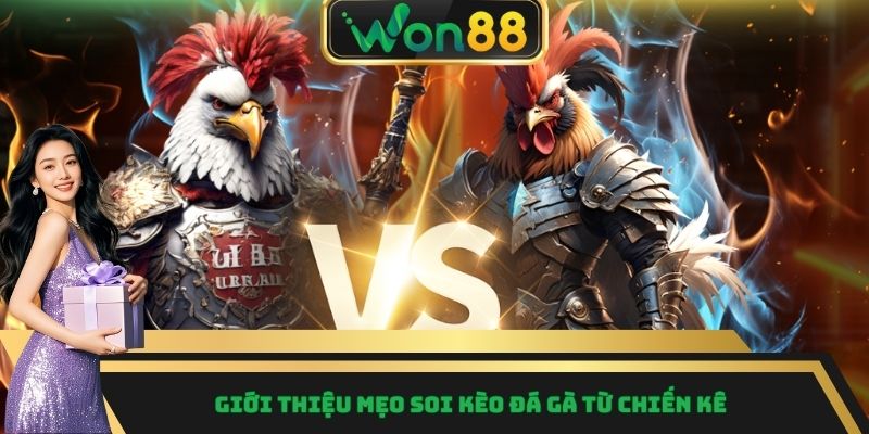Giới thiệu mẹo soi kèo đá gà từ chiến kê