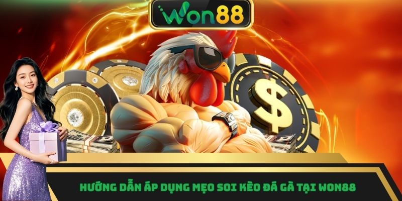 Hướng dẫn áp dụng mẹo soi kèo đá gà tại WON88