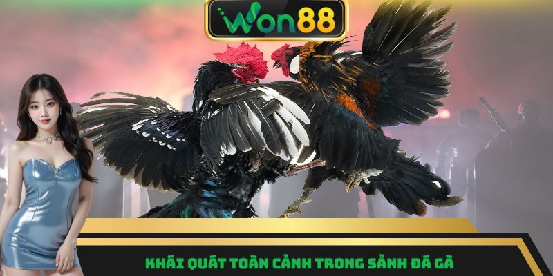 Đá Gà Won88 – Nơi Quy Tụ Những Trận Đấu Gay Cấn Nhất 5 Khái quát toàn cảnh trong sảnh đá gà