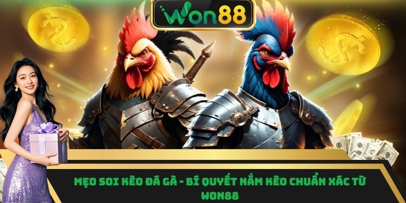 Mẹo soi kèo đá gà