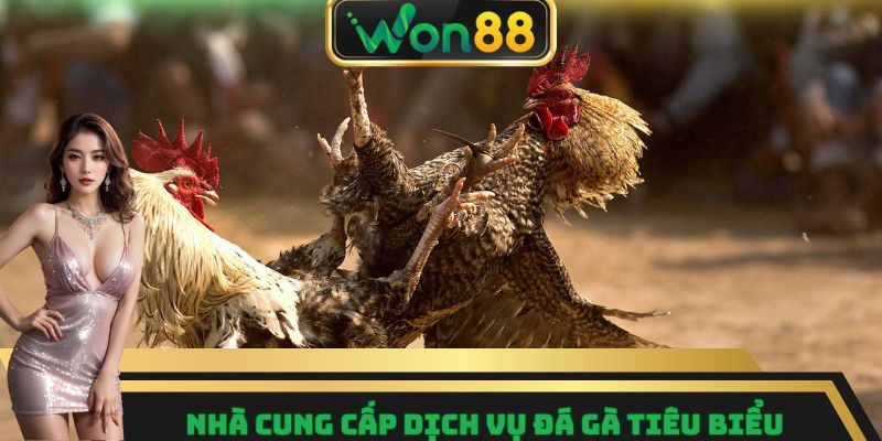 Đá Gà Won88 – Nơi Quy Tụ Những Trận Đấu Gay Cấn Nhất 7 Nhà cung cấp dịch vụ đá gà tiêu biểu