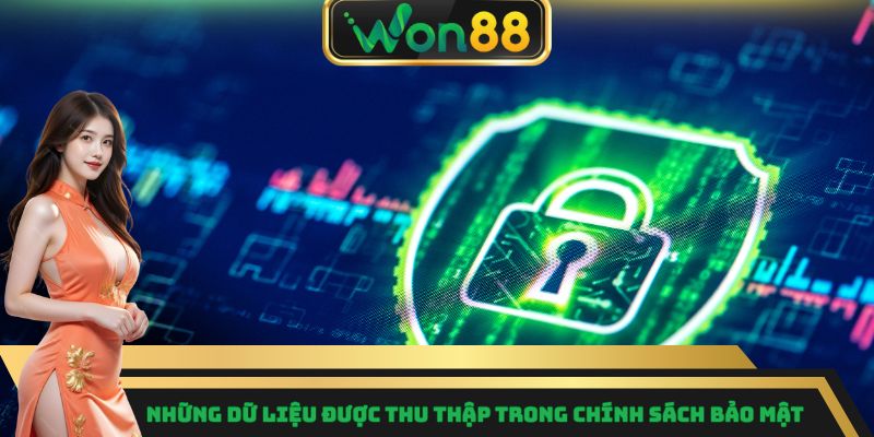 Những dữ liệu được thu thập trong chính sách bảo mật